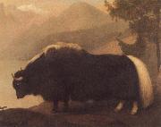 George Stubbs Yak China oil painting reproduction